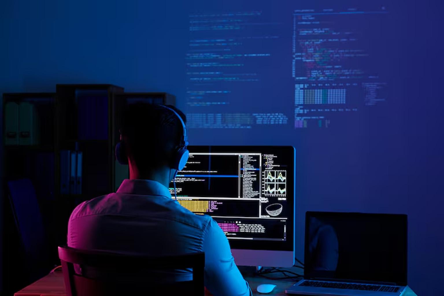 Software Developer